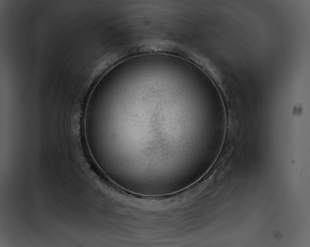X0000101970010200807181116