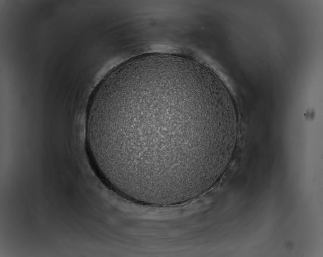 X0000101970011200807181116