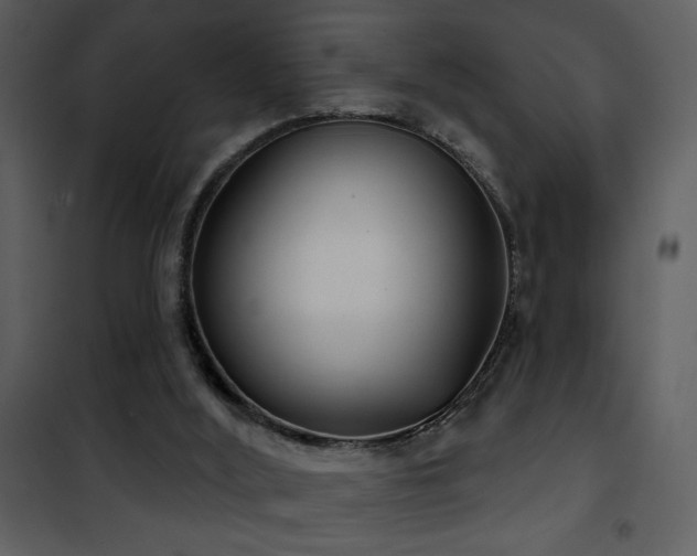 X0000101970012200807181116