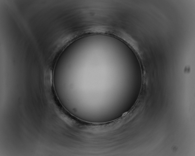 X0000101970013200807181116