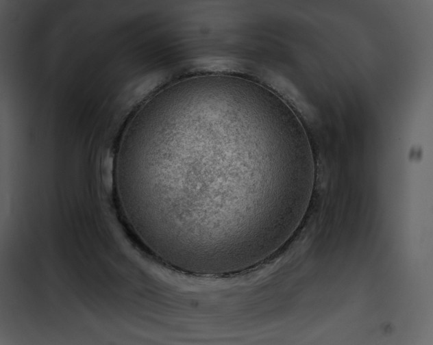 X0000101970014200807181116