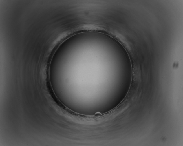 X0000101970015200807181116