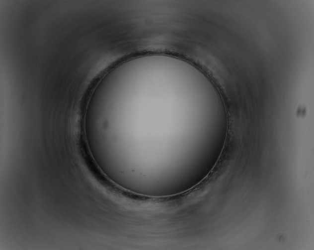 X0000101970016200807181116