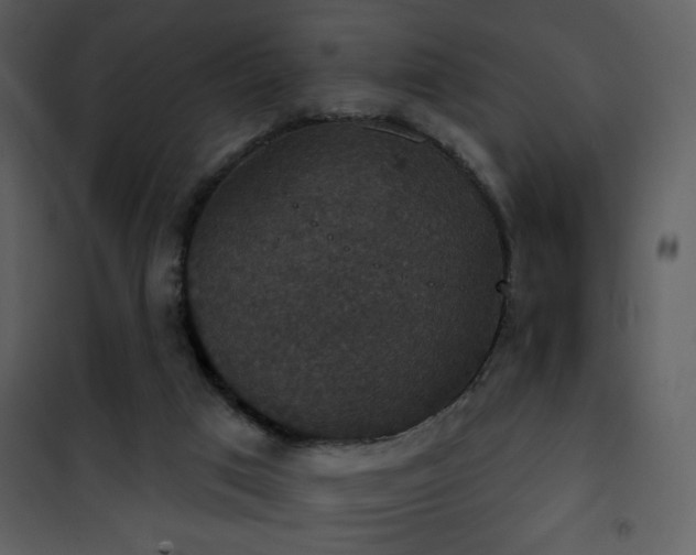 X0000101970017200807181116