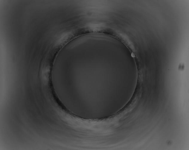X0000101970018200807181116