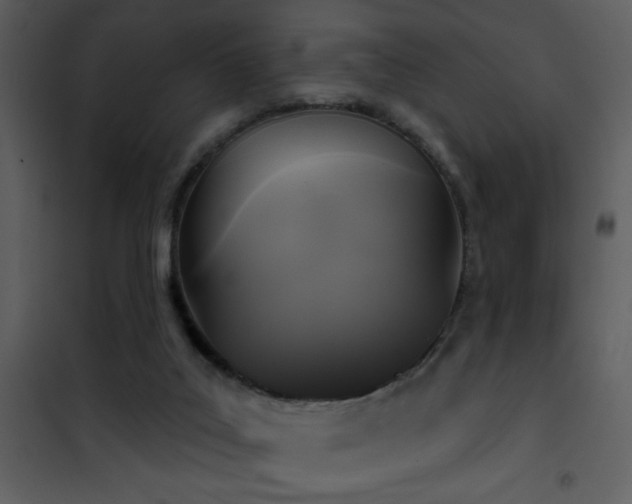 X0000101970019200807181116
