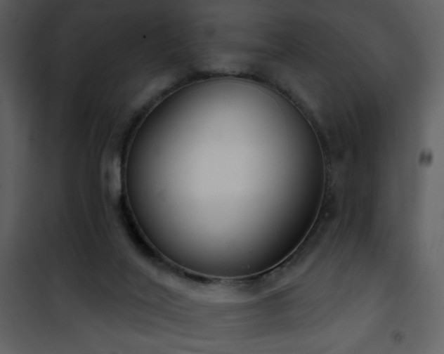 X0000101970020200807181116