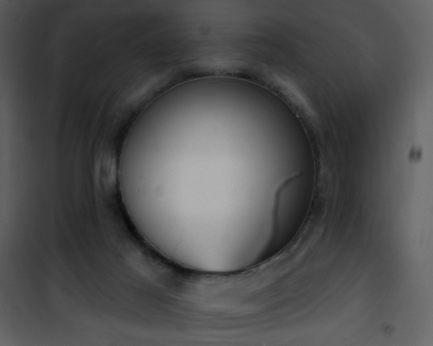 X0000101970021200807181116