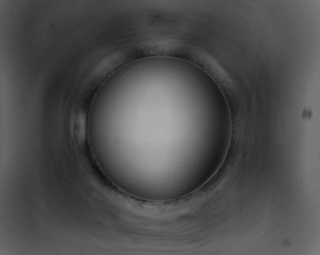 X0000101970022200807181116