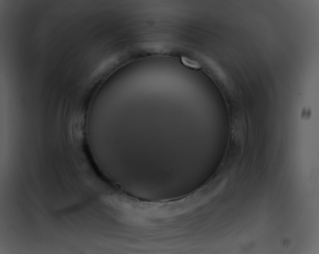 X0000101970023200807181116