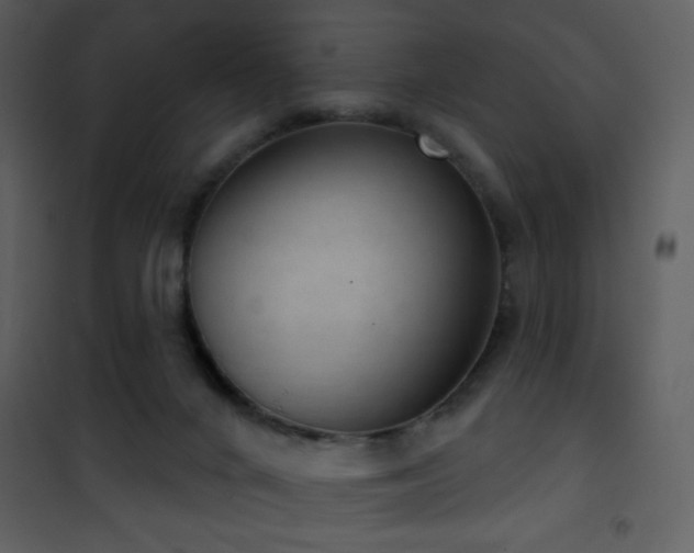 X0000101970024200807181116