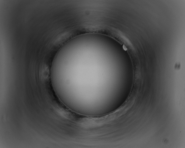X0000101970025200807181116