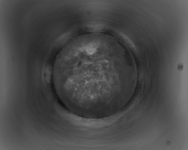 X0000101970026200807181116