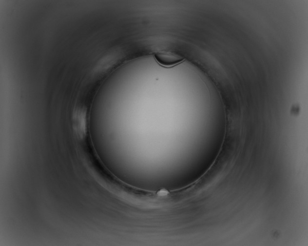 X0000101970028200807181116