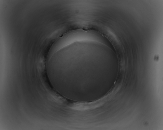 X0000101970029200807181116