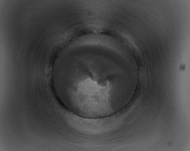 X0000101970030200807181116