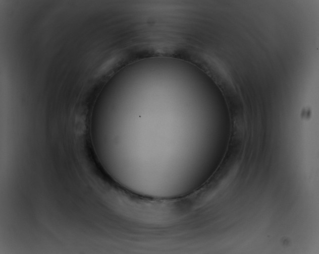 X0000101970032200807181116