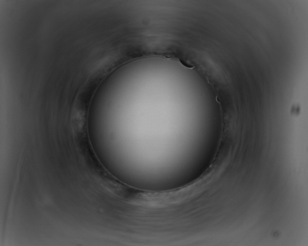 X0000101970033200807181116