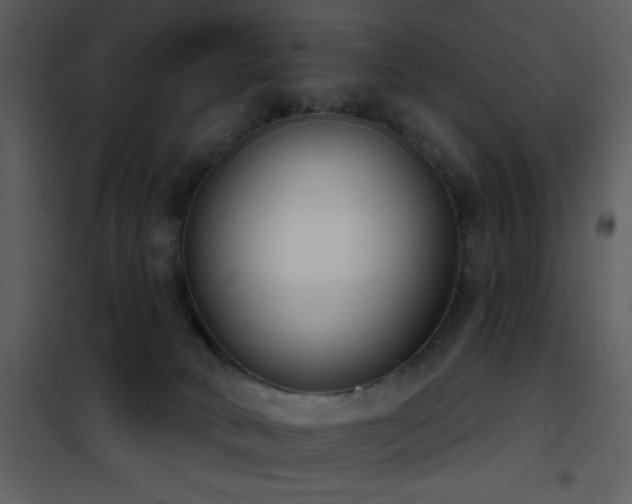 X0000101970034200807181116