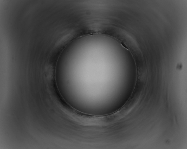 X0000101970036200807181116