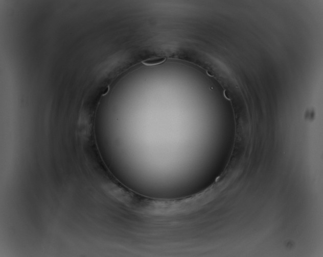 X0000101970037200807181116
