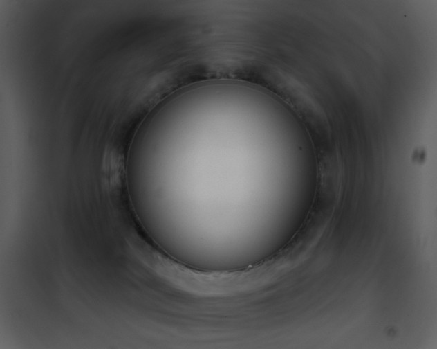 X0000101970038200807181116