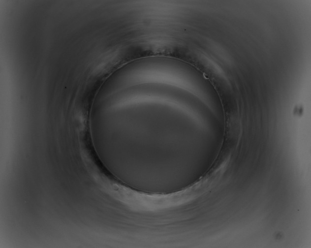 X0000101970039200807181116