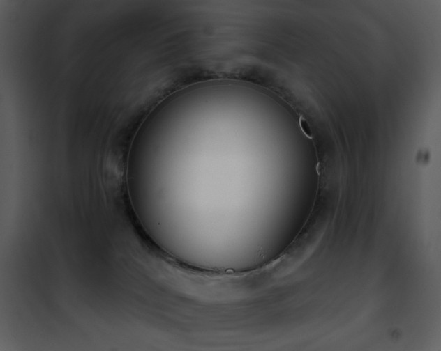 X0000101970040200807181116