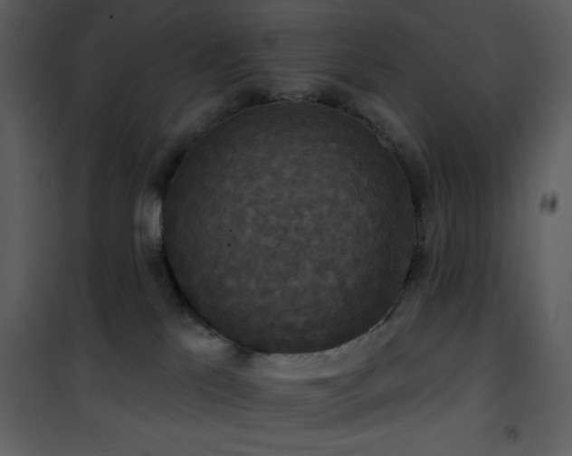 X0000101970041200807181116