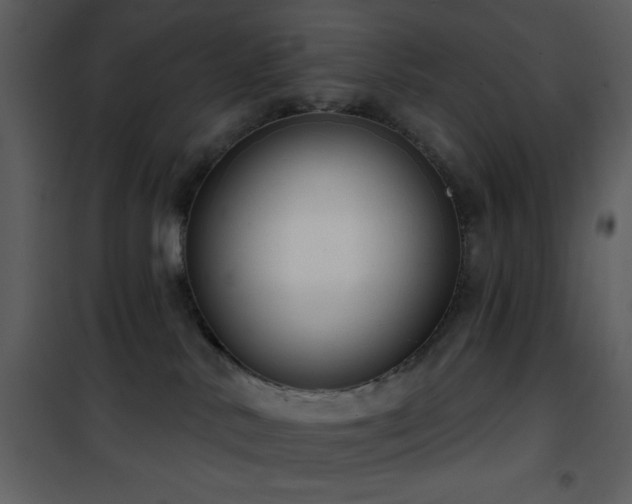 X0000101970042200807181116