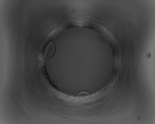 X0000101970043200807181116