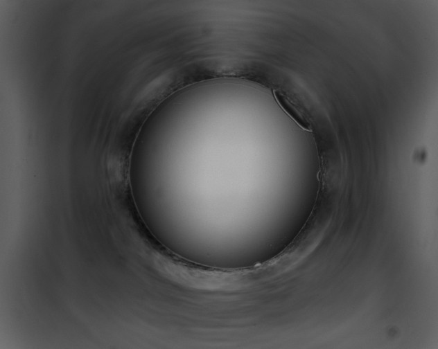 X0000101970044200807181116