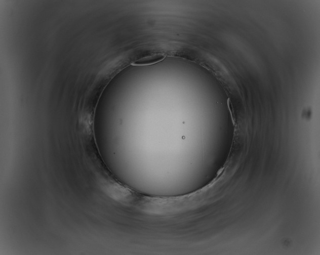 X0000101970045200807181116