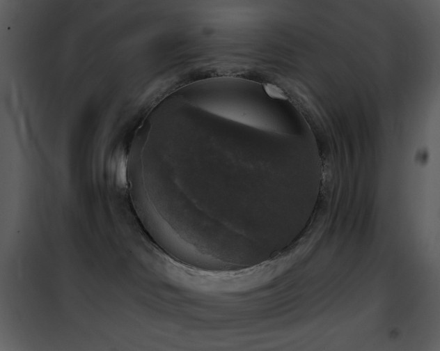 X0000101970046200807181116