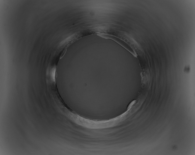 X0000101970047200807181116