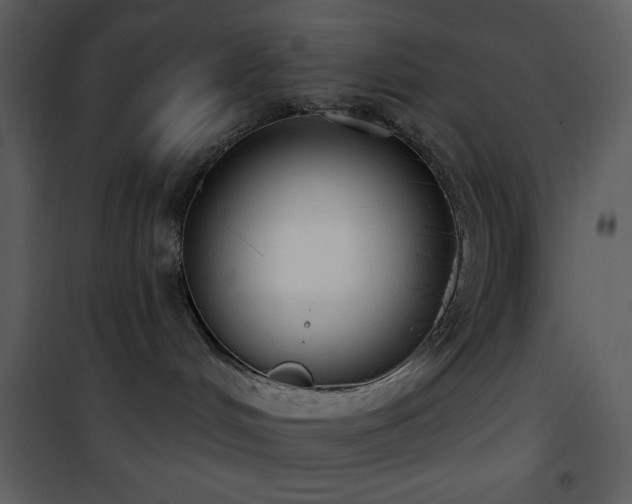 X0000101970048200807181116