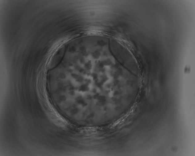 X0000101970049200807181115