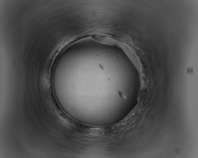 X0000101970050200807181115