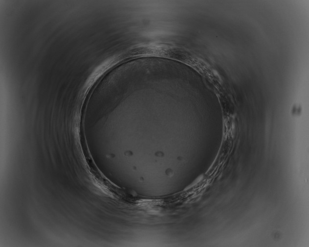 X0000101970051200807181115