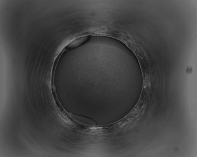 X0000101970052200807181115