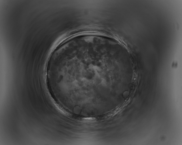 X0000101970053200807181115