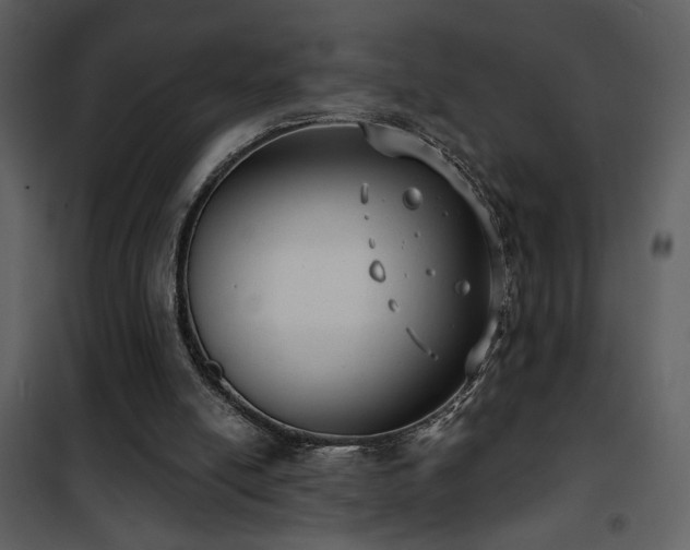 X0000101970054200807181115