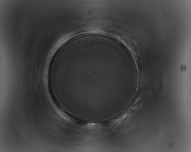 X0000101970055200807181115