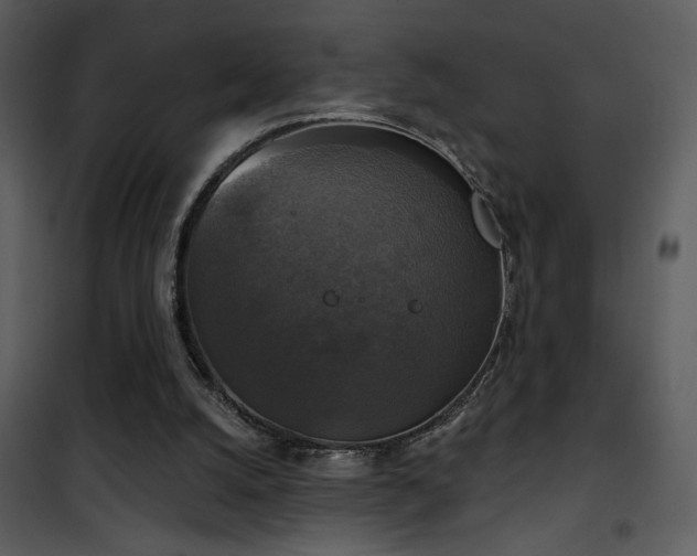 X0000101970056200807181115