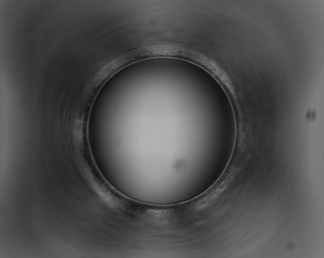 X0000101970057200807181115