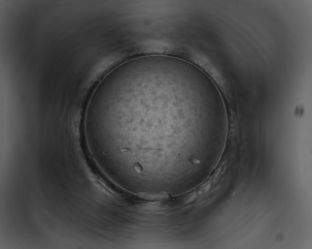 X0000101970058200807181115