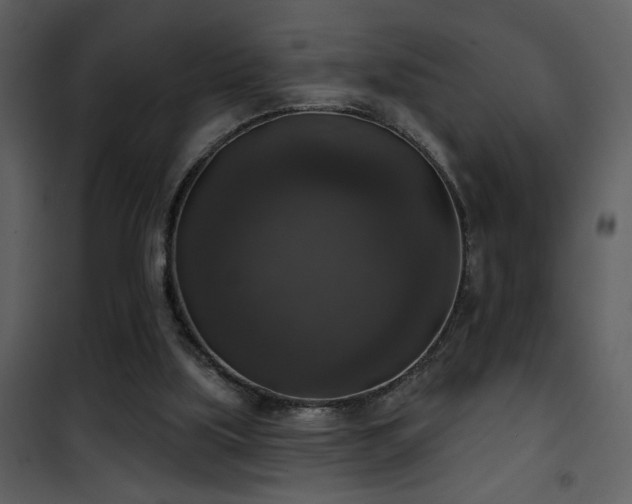 X0000101970059200807181115