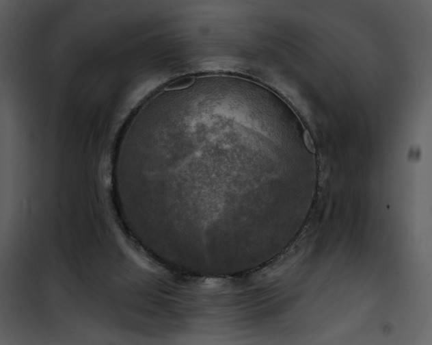 X0000101970060200807181115