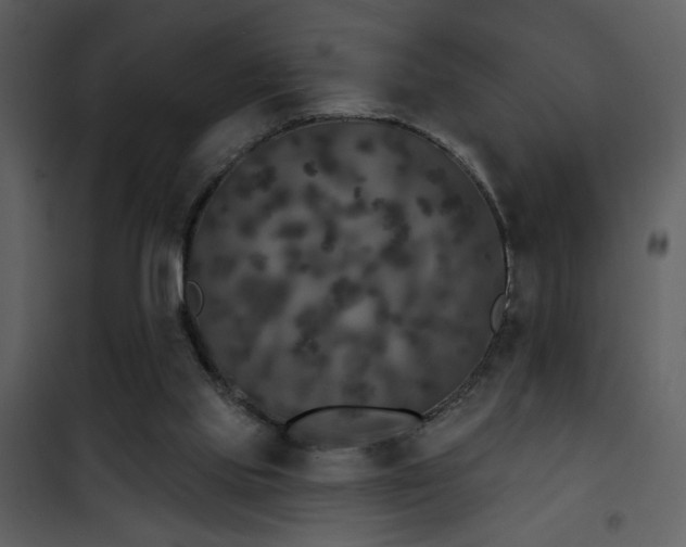 X0000101970061200807181115