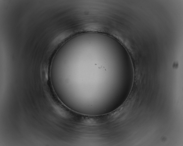 X0000101970062200807181115
